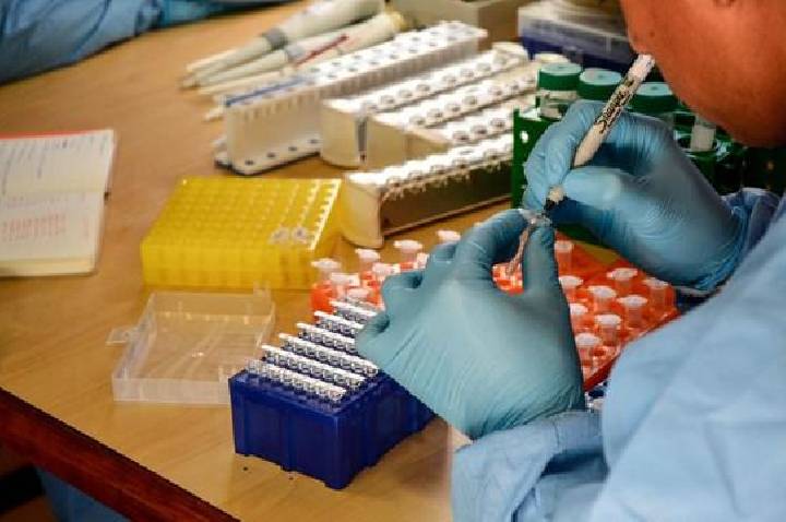 Barra do Garças reforça combate ao Aedes aegypti após identificação de mais de 2 mil ovos
