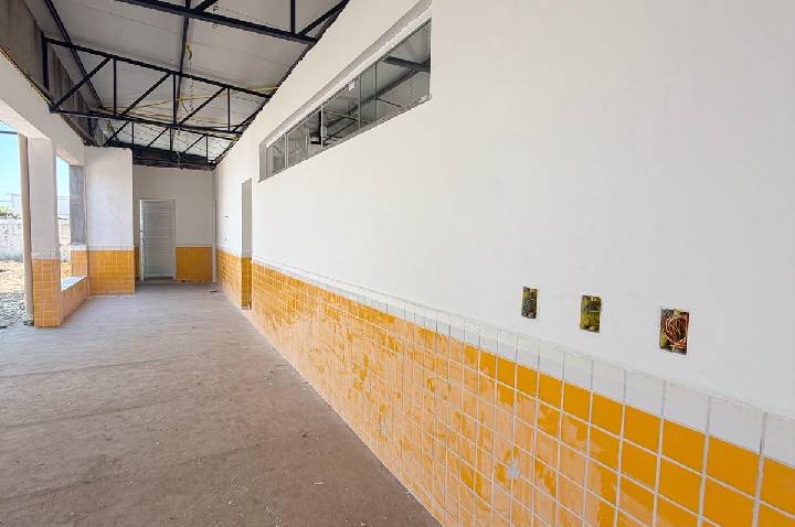 Galeria de Imagem