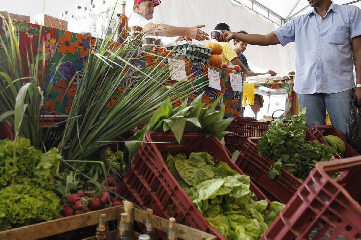 Decreto adia exigência de CNPJ para autônomos e produtores rurais