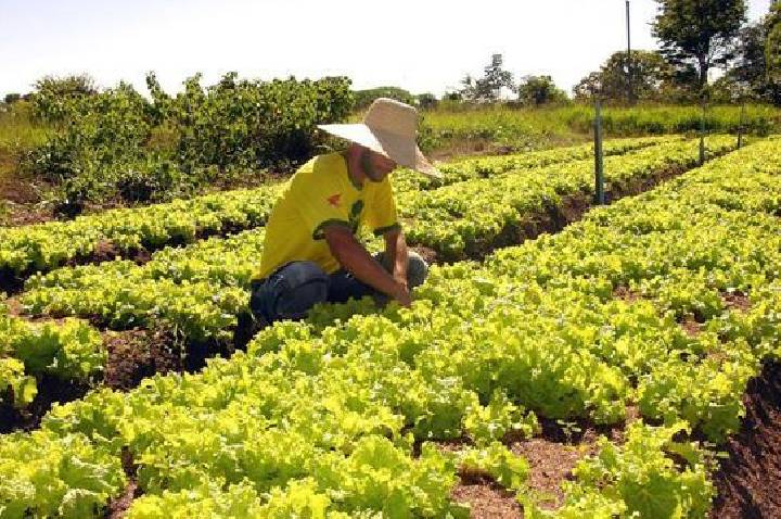 Dia de Campo leva tecnologia e manejo sustentável a produtores de Barra do Garças