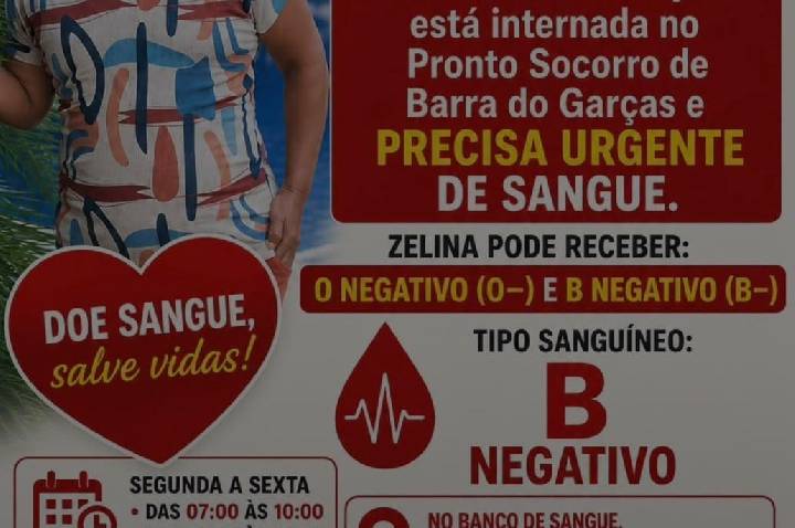 Galeria de Imagem