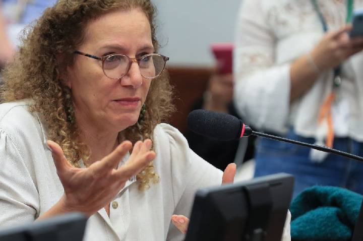 Parlamentares governistas vão aos EUA apresentar contraponto à direita