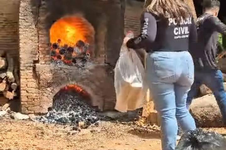 Polícia Civil incinera 23 quilos de drogas em Barra do Garças