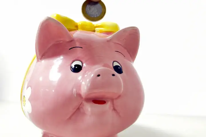 Poupança tem entrada líquida de R$ 2,6 bilhões em maio