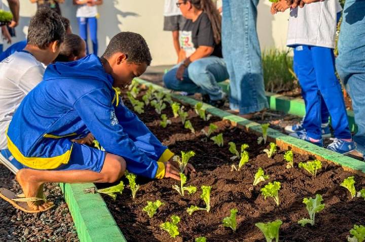 Ser Família Criança inicia atividades em Barra do Garças com atendimento no contraturno escolar