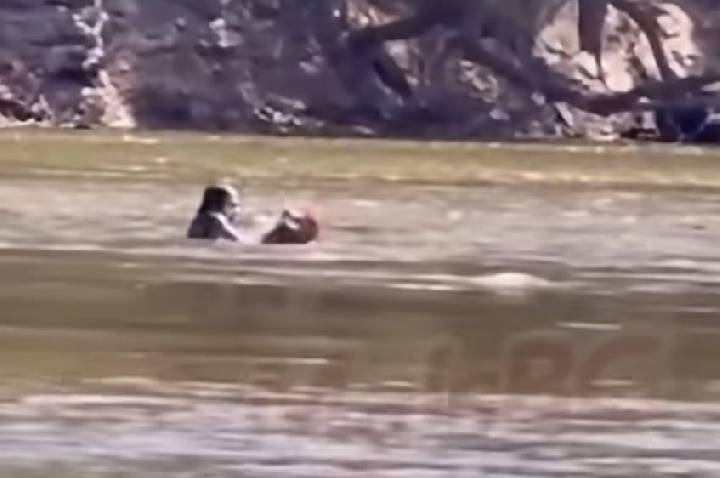 VEJA VÍDEO: Banhista é resgatado após afogamento na Praia do Bosque