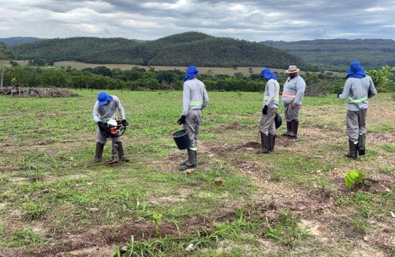 Investimentos internacionais vão ampliar áreas de recuperação ambiental no Vale do Araguaia