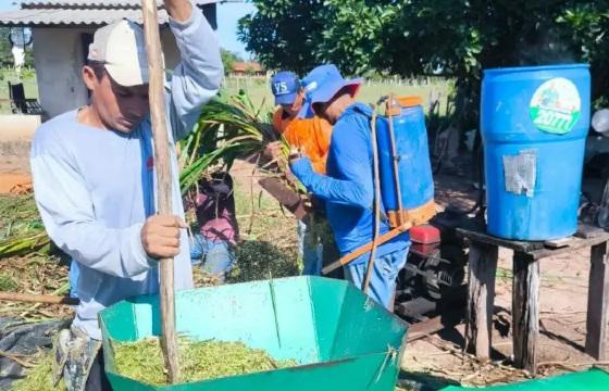 Sebrae e TNC realizam dia de campo em Araguaiana para difundir boas práticas na pecuária do Cerrado