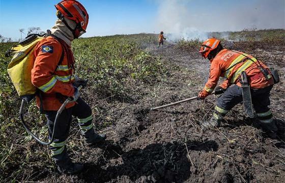 Mais de 300 focos de calor em 24h: Bombeiros intensificam combate a incêndios florestais em MT