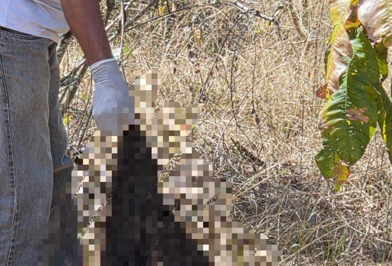 Ossada encontrada pela polícia em MT apresenta indícios de tortura e decapitação