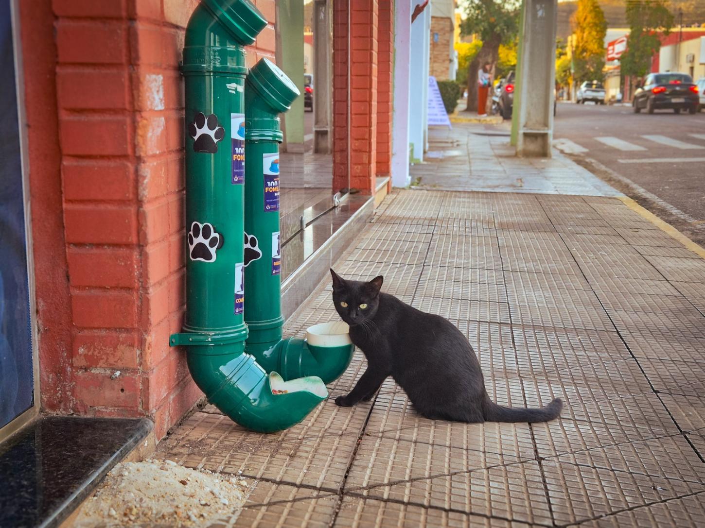 Prefeitura instala comedouros e bebedouros para incentivar cuidado com animais de rua em Barra do Garças