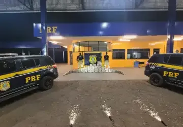 PRF flagra 147 kg de cocaína escondidos em carga de caroço de algodão na BR-070