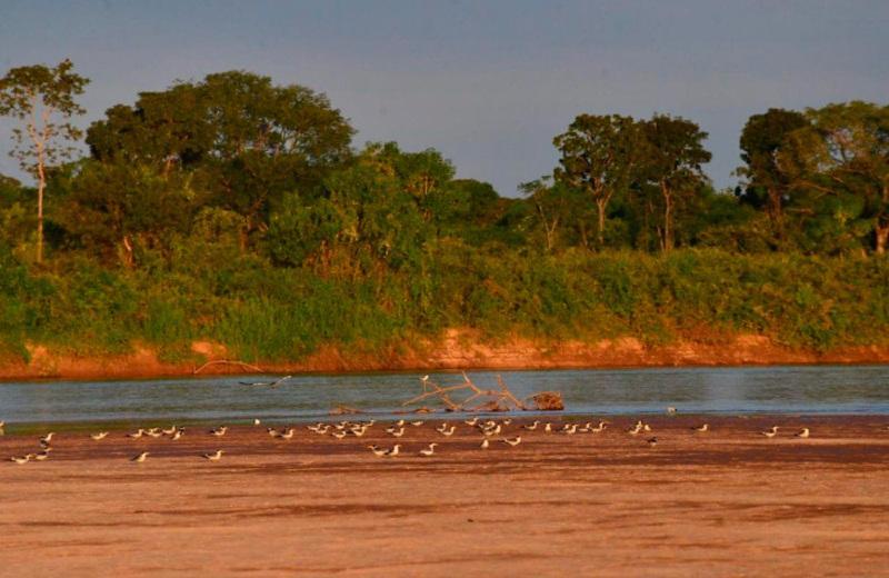 Rio Araguaia atinge menor nível histórico para agosto, indica centro meteorológico