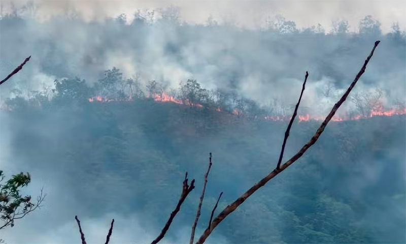 Chamas se aproximam de Terra Indígena em Barra do Garças