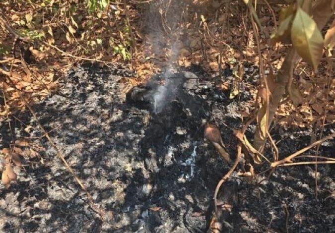 Corpo carbonizado é localizado em estrada vicinal em MT