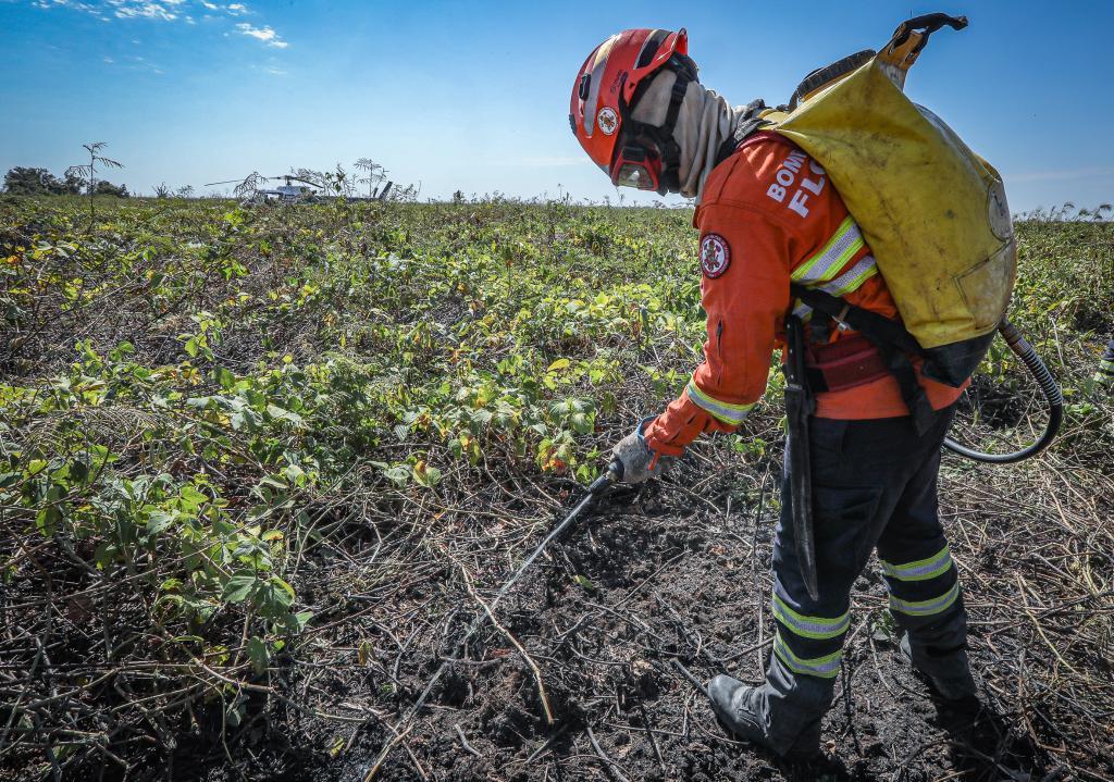 Corpo de Bombeiros combate 9 incêndios florestais neste domingo (21)