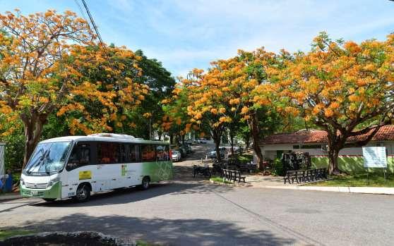 IFMT Barra do Garças será pioneiro no Brasil com curso técnico de Inteligência Artificial
