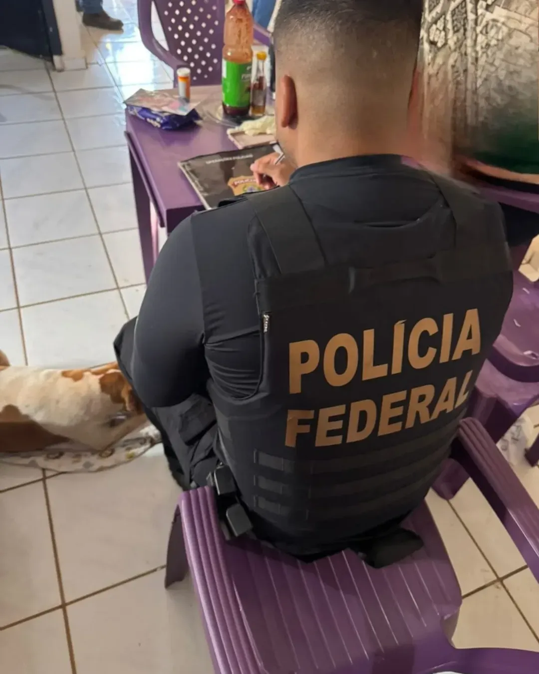 PF prende mulher suspeita de produzir e vender vídeos de abuso sexual da própria filha