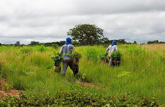 Sema e parceiros lançam segundo lote do Programa Todos pelo Araguaia nesta quinta-feira (23)