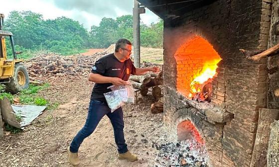 Polícia Civil incinera mais de 14 quilos de drogas em Barra do Garças