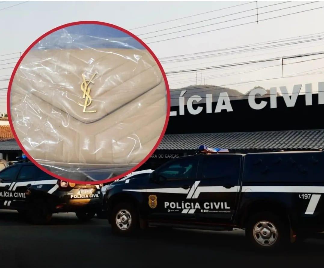 Amiga da onça: câmera flagra furto de itens de luxo dentro de casa em Barra do Garças