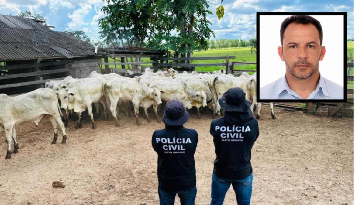 Vereador é preso acusado de envolvimento na compra de gado furtado