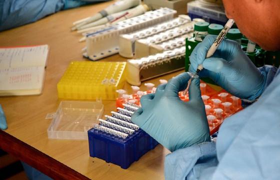 Barra do Garças reforça combate ao Aedes aegypti após identificação de mais de 2 mil ovos