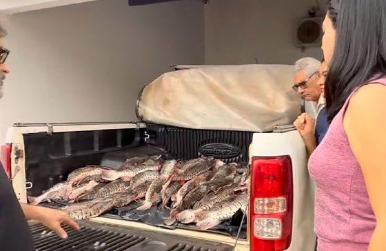 Mais de 160 kg de pescado são doados pela PM para Assistência Social de Barra do Garças