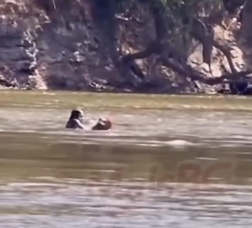 VEJA VÍDEO: Banhista é resgatado após afogamento na Praia do Bosque
