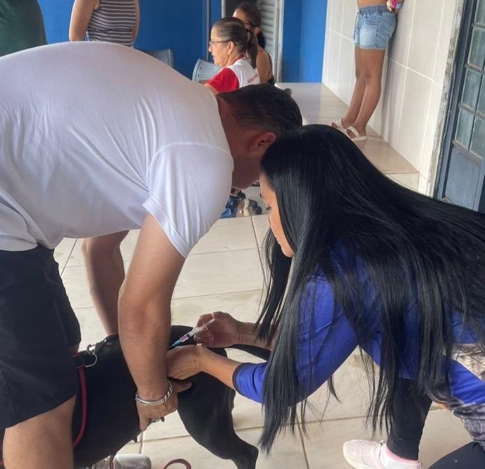 Aragarças registra 2.820 cães e gatos vacinados contra a raiva durante campanha
