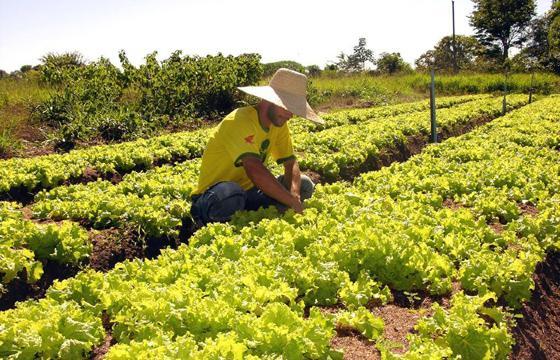 Dia de Campo leva tecnologia e manejo sustentável a produtores de Barra do Garças