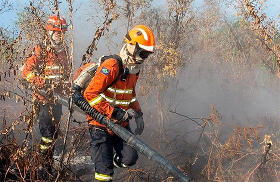 MT registra redução de 82% nos focos de calor; menor número para o mês de setembro desde 1998